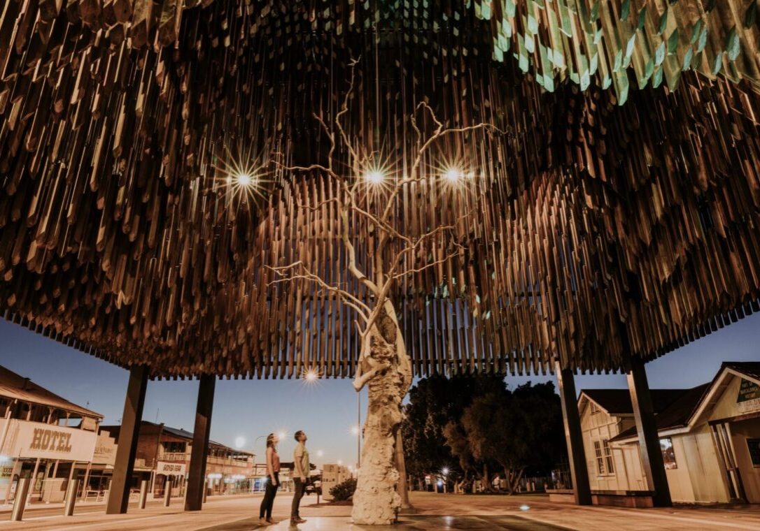 Heritage listed ghost gum tree located in front of the Barcaldine Railway Station