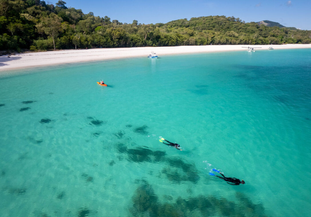 Beachfront camping on Whitsunday Island