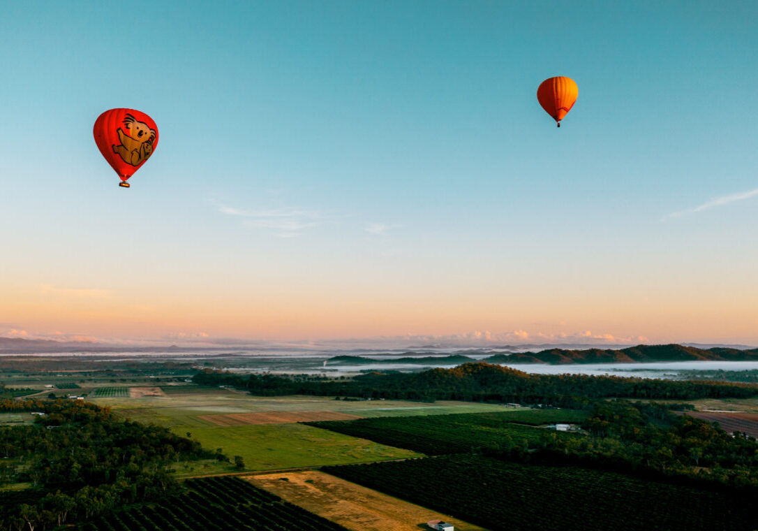 Hot air balloons flying above misty countryside
